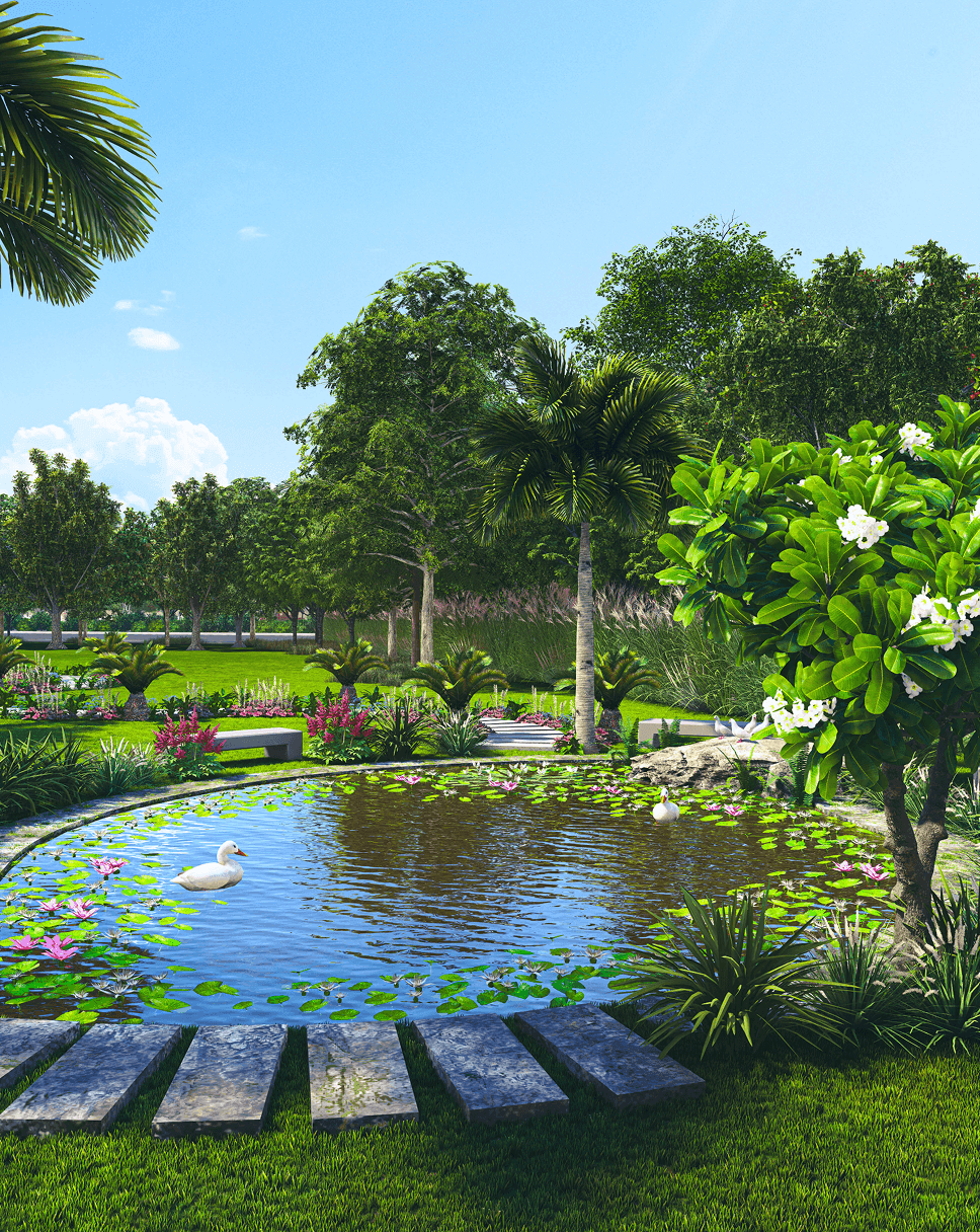 Ponds